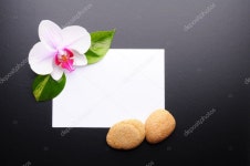 스파 — 스톡 사진 © gunnar3000 #3869645 스파