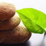 스파  — 스톡 사진 © gunnar3000 #4027152 스파