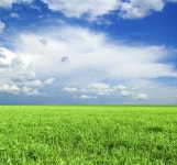 초원 — 스톡 사진 © Pakhnyushchyy #5552425 초원