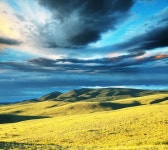 필드 — 스톡 사진 © kamchatka #2429270 필드