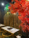 Season Pluss Review - Western Seafood Bar in Tsim Sha Tsui Hong Kong | OpenRice Hong Kong Season Plus (Tsim Sha Tsui)