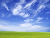 그린 필드 — 스톡 사진 © Pakhnyushchyy #4617787 그린 필드