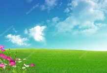 자연 — 스톡 사진 © ztk000 #6453527 자연