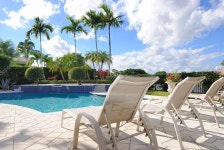 당밀 — 스톡 사진 © sepavone #5899351 당밀