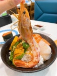 Kokonoi Sushi Restaurants Review - Japanese Sushi/Sashimi in Kowloon Bay MegaBox Hong Kong | OpenRice Hong Kong Kokonoi Sushi... 
