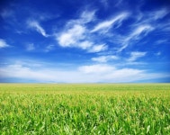 초원 — 스톡 사진 © Pakhnyushchyy #6665589 초원