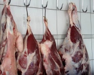 Butcher store — Stock Photo © reflex_safak #32797777 Butcher store