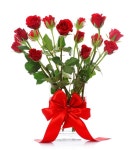 붉은 장미 — 스톡 사진 © annakhomulo #7707063 붉은 장미