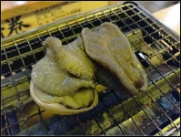 Akita Hamayaki in Tsim Sha Tsui Hong Kong | OpenRice Hong Kong Photo of Akita Hamayaki (Tsim Sha Tsui) - patfish521