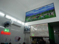 Leitaria I Son in Avenida de Almeida Ribeiro Macau | OpenRice Hong Kong Photo of Leitaria I Son (Avenida de Almeida Ribeiro)... 