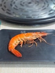Review of Crab Fairy (Lung Kong Road) by foodstory | OpenRice Hong Kong Review of Crab Fairy (Lung Kong Road) (Kowloon City)... 