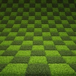 Grass — Stock Photo © dimdimich #11790126 Grass