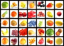 과일 — 스톡 사진 © Mike Richter #10269523 과일