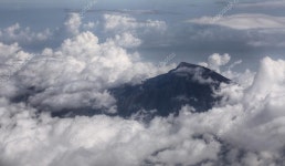 산업적  