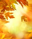 가  