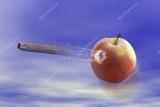 샷  