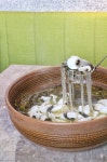 Sichuan House in Yuen Long Hong Kong | OpenRice Hong Kong Photo of Sichuan House (Yuen Long) - Kan Lee
