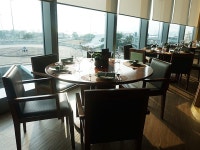 Mango Tree in Tsim Sha Tsui Hong Kong | OpenRice Hong Kong Photo of Mango Tree (Tsim Sha Tsui) - FL