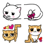 Only  cat Emoji – LINE 이모티콘 | LINE STORE