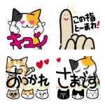 Only cat Emoji 3 – LINE อิโมจิ | LINE STORE