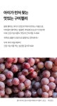 [베베쿡]베베구미젤리 1박스 (63 g X 4포) [W CONCEPT]