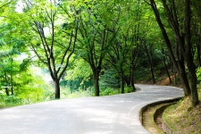 건강이 최고! 계족산 황톳길! | 두피디아 여행기 두피디아 여행기-건강이 최고! 계족산 황톳길!