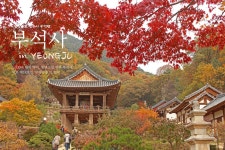 가을이 오면, 늦가을의 영주 부석사 | 두피디아 여행기 두피디아 여행기-가을이 오면, 늦가을의 영주 부석사