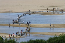 영주 무섬마을 외나무다리의 추억과 아이들 | 두피디아 여행기 두피디아 여행기-영주 무섬마을 외나무다리의 추억과 아이들