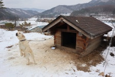 옛 것과 새로움이 공존하는, 평창군 용평면 | 두피디아 여행기 두피디아 여행기-옛 것과 새로움이 공존하는, 평창군 용평면