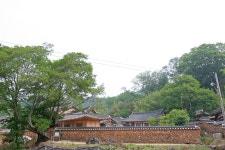 보성 강골마을 | 두피디아 여행기 두피디아 여행기-보성 강골마을