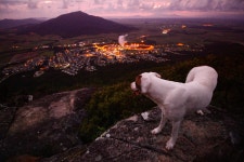 꿈꾸는 컨테이너, 세계일주를 향해 돛을 올리다.(호주 바나나농장) | 두피디아 여행기 두피디아 여행기-꿈꾸는 컨테이너, 세계일주를 향해 돛을... 
