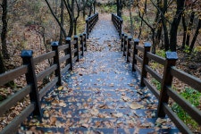 가을 새벽, 보문산을 오르다 | 두피디아 여행기 두피디아 여행기-가을 새벽, 보문산을 오르다