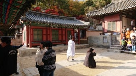 역사와 함께 하는 안동 여행기 (4) : 도산서원 2 | 두피디아 여행기 두피디아 여행기-역사와 함께 하는 안동 여행기 (4) : 도산서원 2