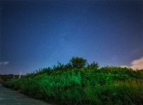 빛나는 갑천의 밤 | 두피디아 여행기 두피디아 여행기-빛나는 갑천의 밤