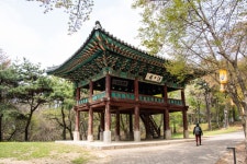 백제의 마지막 도성 부소산성 - 백마강, 낙화암,... | 두피디아 여행기 두피디아 여행기-백제의 마지막 도성 부소산성 - 백마강, 낙화암,...
