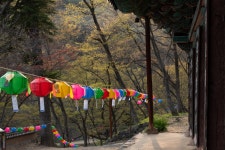 春(봄)의 마곡사를 가다. | 두피디아 여행기 두피디아 여행기-春(봄)의 마곡사를 가다.