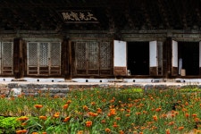 春(봄)의 마곡사를 가다. | 두피디아 여행기 두피디아 여행기-春(봄)의 마곡사를 가다.