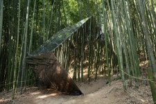 담양 죽녹원 | 두피디아 여행기 두피디아 여행기-담양 죽녹원