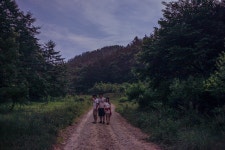 반딧불이의 숲, 옥천 안터마을 | 두피디아 여행기 두피디아 여행기-반딧불이의 숲, 옥천 안터마을