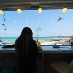 5일마다 열리는 시장, 제주 세화 민속 오일 시장 | 두피디아 여행기 두피디아 여행기-5일마다 열리는 시장, 제주 세화 민속 오일 시장