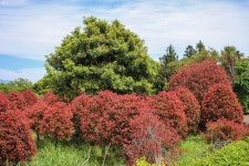 고생반 재미반 제주도 뚜벅이 여행 #2 | 두피디아 여행기 두피디아 여행기-고생반 재미반 제주도 뚜벅이 여행 #2