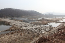 겨울꽃 피는 미호천, 아이와 함께 걷다 | 두피디아 여행기 두피디아 여행기-겨울꽃 피는 미호천, 아이와 함께 걷다