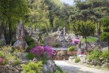 계룡산에서 1박 2일 자연인되기 | 두피디아 여행기 두피디아 여행기-계룡산에서 1박 2일 자연인되기