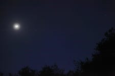 계룡산에서 1박 2일 자연인되기 | 두피디아 여행기 두피디아 여행기-계룡산에서 1박 2일 자연인되기