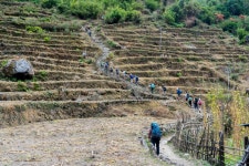 히말라야 트레킹하면 떠오르는 장소 ABC트렉! | 두피디아 여행기 두피디아 여행기-히말라야 트레킹하면 떠오르는 장소 ABC트렉!
