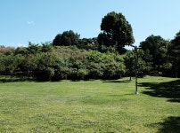 푸른 녹음이 우거진 용산가족공원 | 두피디아 여행기 두피디아 여행기-푸른 녹음이 우거진 용산가족공원