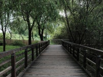 자연 따라 걷는 강서둘레길과 강서습지생태공원 | 두피디아 여행기 두피디아 여행기-자연 따라 걷는 강서둘레길과 강서습지생태공원