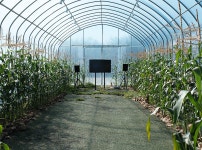 [강원국제트리엔날레 2021] ④ 와동분교 | 두피디아 여행기 두피디아 여행기-[강원국제트리엔날레 2021] ④ 와동분교