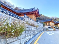 단아함과 곱다의 조합, 세종시 한옥마을 | 두피디아 여행기 두피디아 여행기-단아함과 곱다의 조합, 세종시 한옥마을