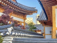 단아함과 곱다의 조합, 세종시 한옥마을 | 두피디아 여행기 두피디아 여행기-단아함과 곱다의 조합, 세종시 한옥마을